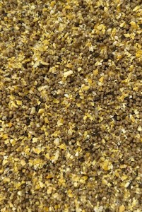 Club Series - Method Mix -Dynamic Corn - Natural 